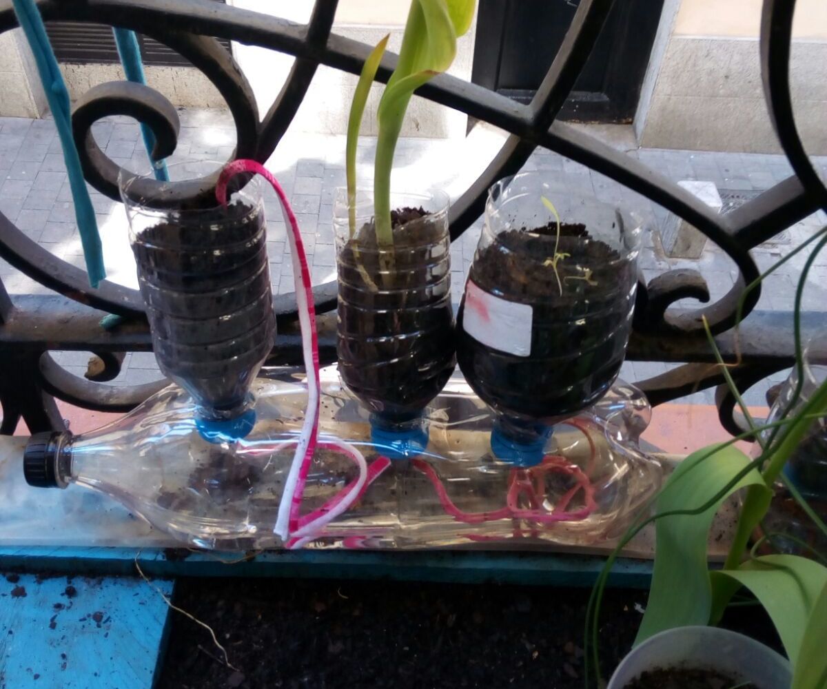 3x1 Selfwatering Planter