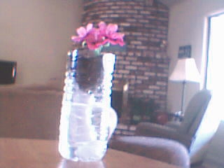 Recycled 2 Liter Green House