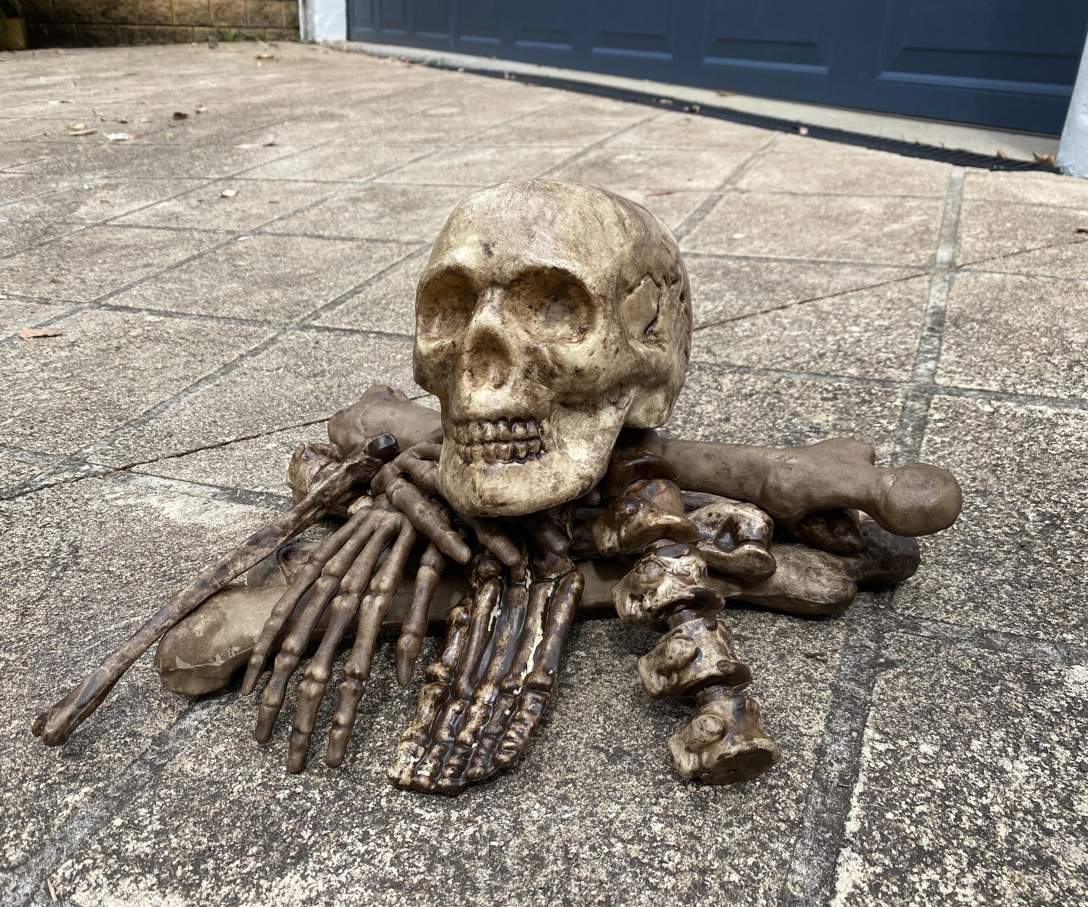 How to Turn a Dollar Store Skeleton Into a Realistic Prop Easily