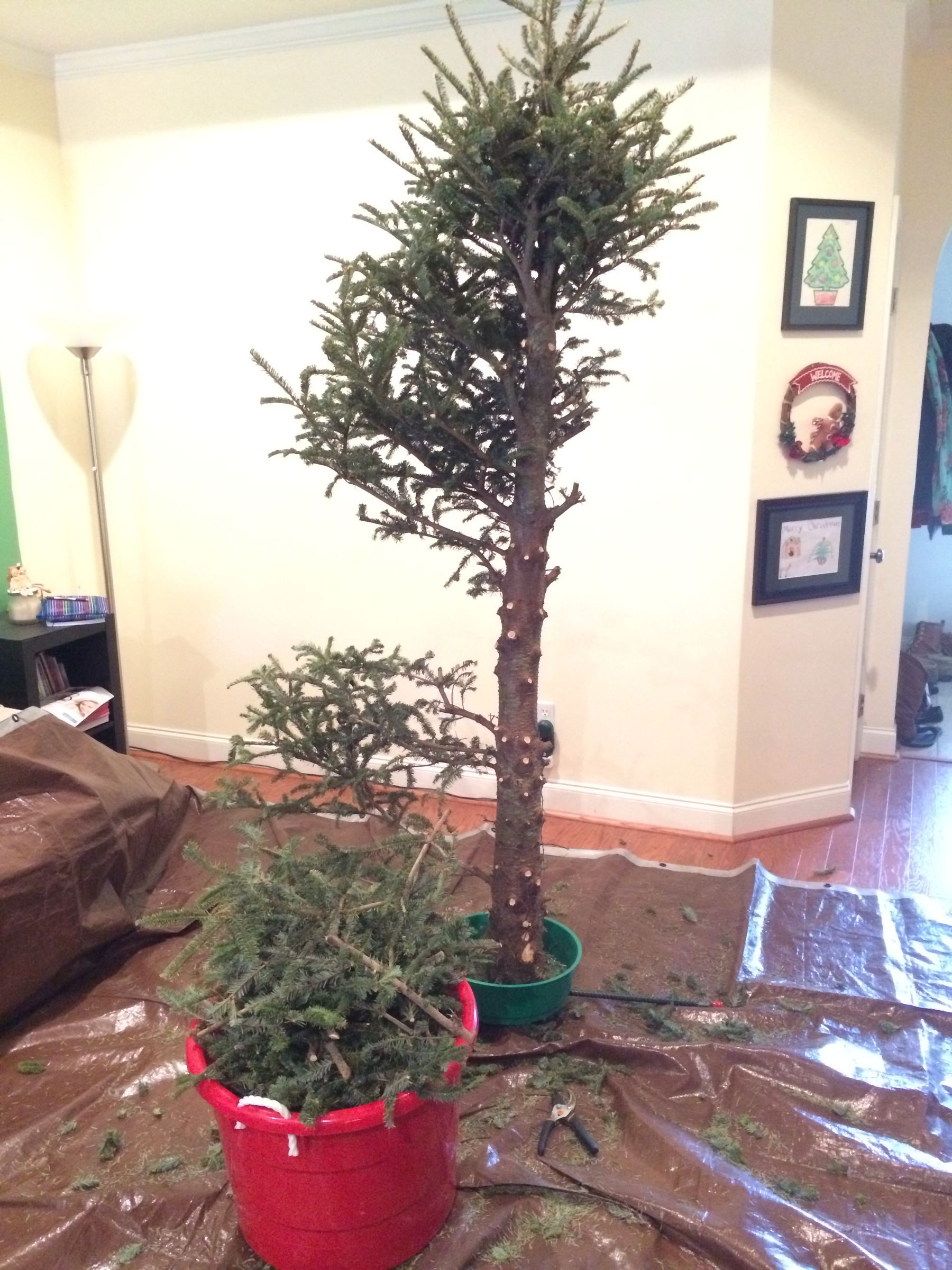 Less Messy Christmas Tree Removal 8 Steps (with Pictures) Instructables