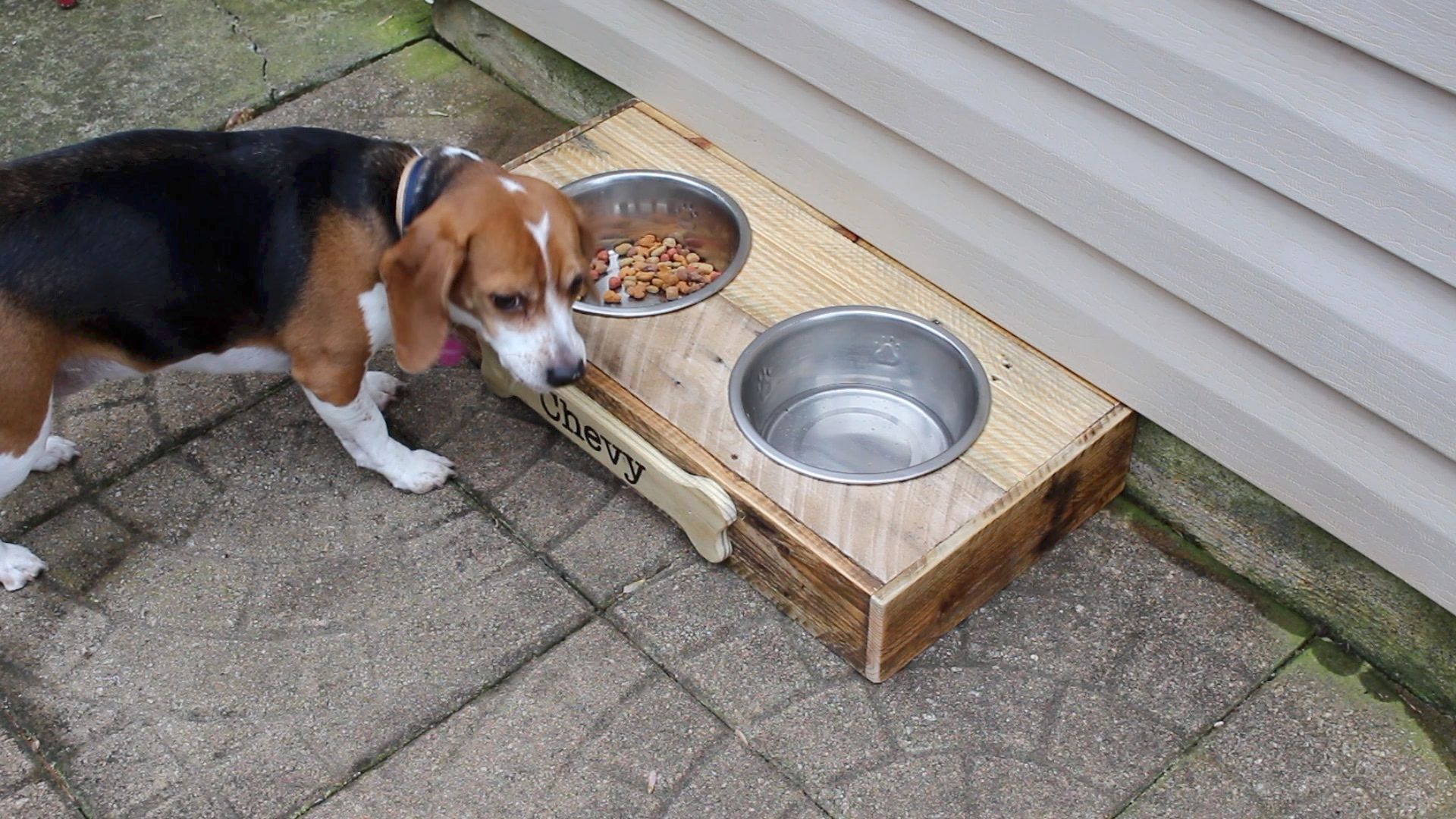 Dog Feeder Station DIY 10 Steps (with Pictures) Instructables