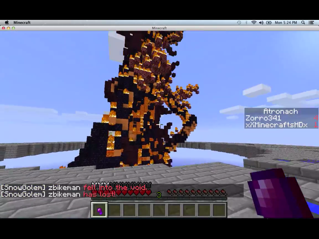 Minecraft Super Craft Bros.