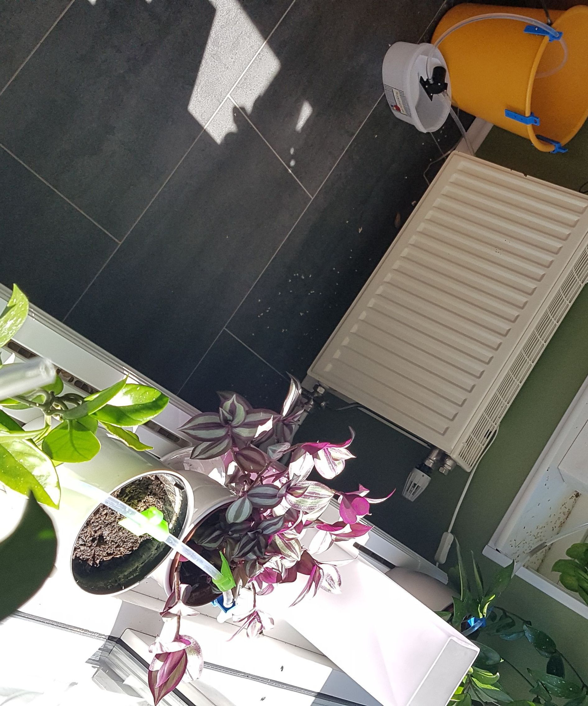 Watering System for Indoor Plants, Feedback Controlled by Arduino 