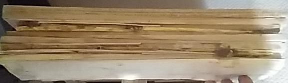 Glue Cedar Shingles to Board