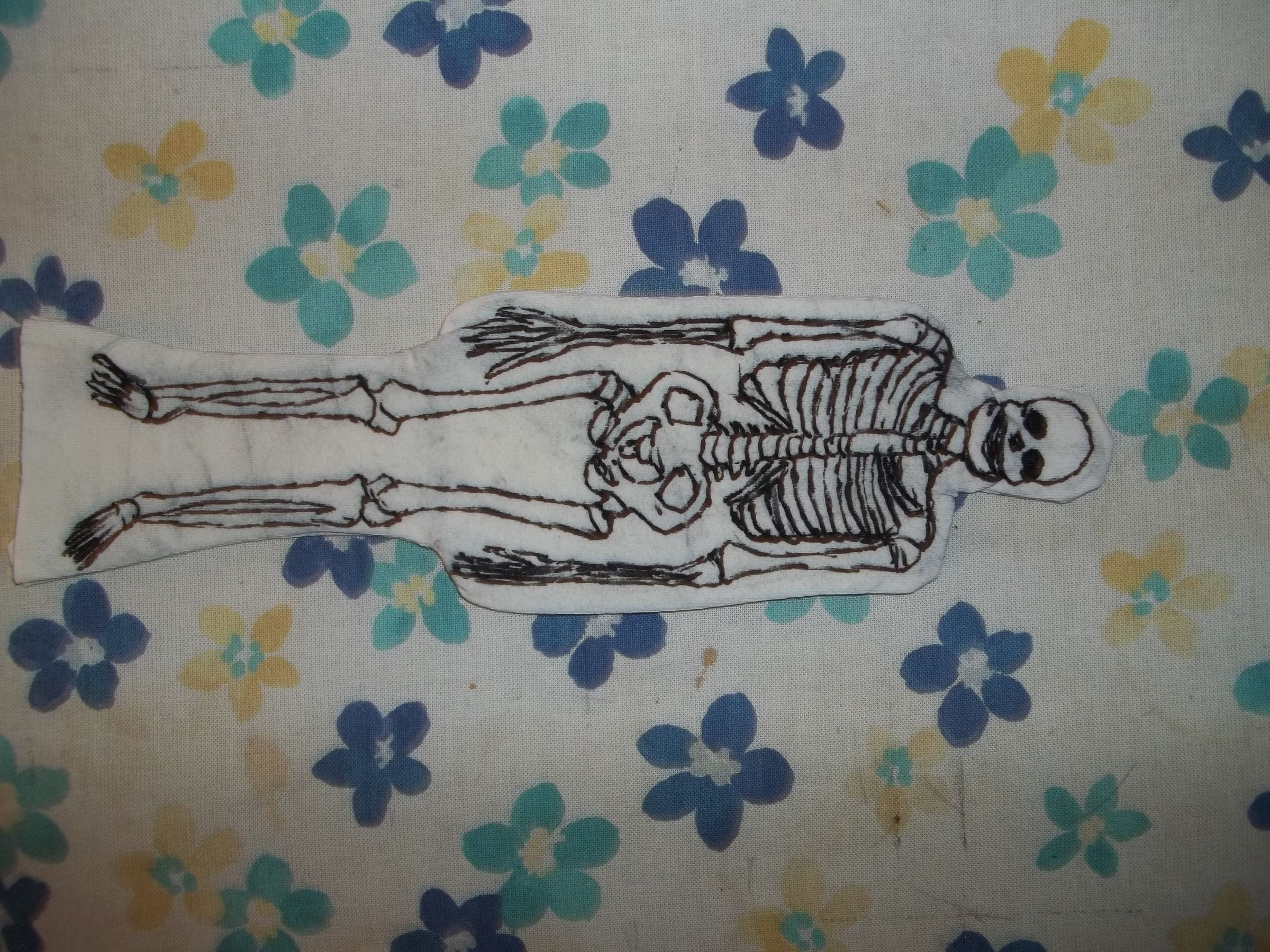 Model of the Human Skeleton : 4 Steps - Instructables