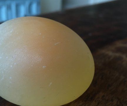 Bouncing Egg