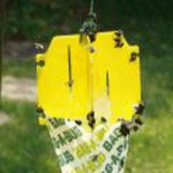 Wild Animals - Lethal/Non-Lethal - Traps