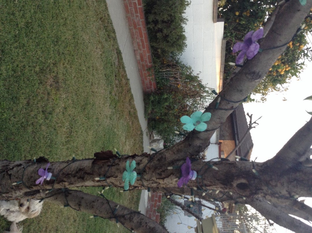 Plastic Bottle Flowers
