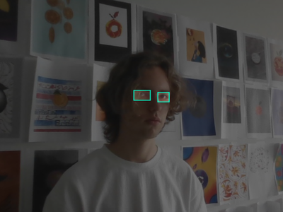 Collecting and Labeling Eye Dataset