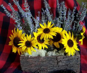 Bark Planter