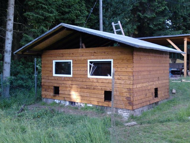 Building a Chicken Coop