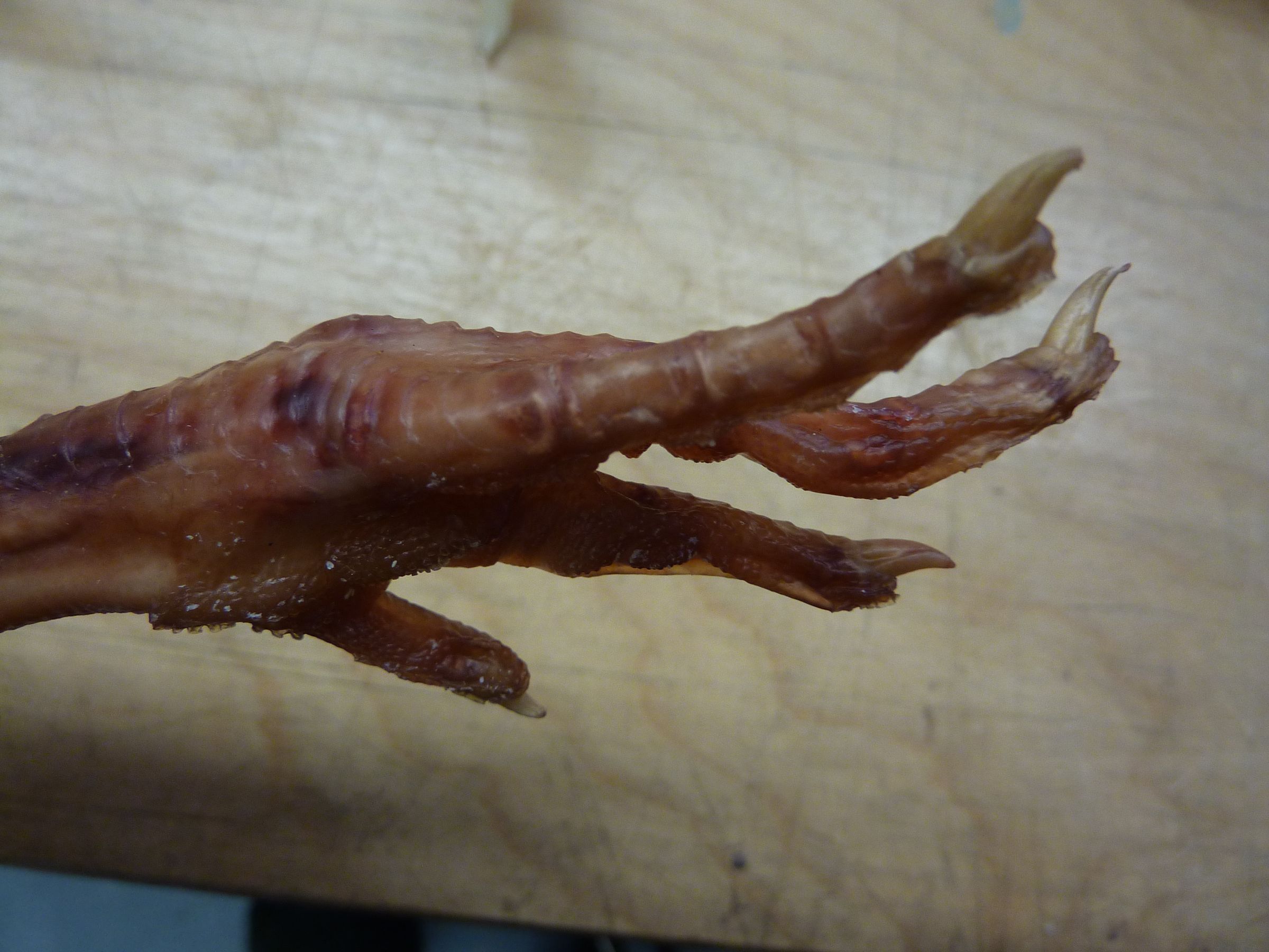 How to Make a Two Part Silicone Mold of a Chicken Foot