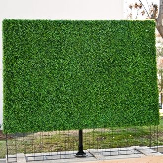 Privacy Hedges Protection for Intruders