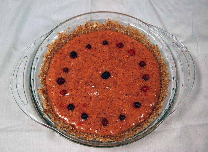 Raw Vegan Mango Pie