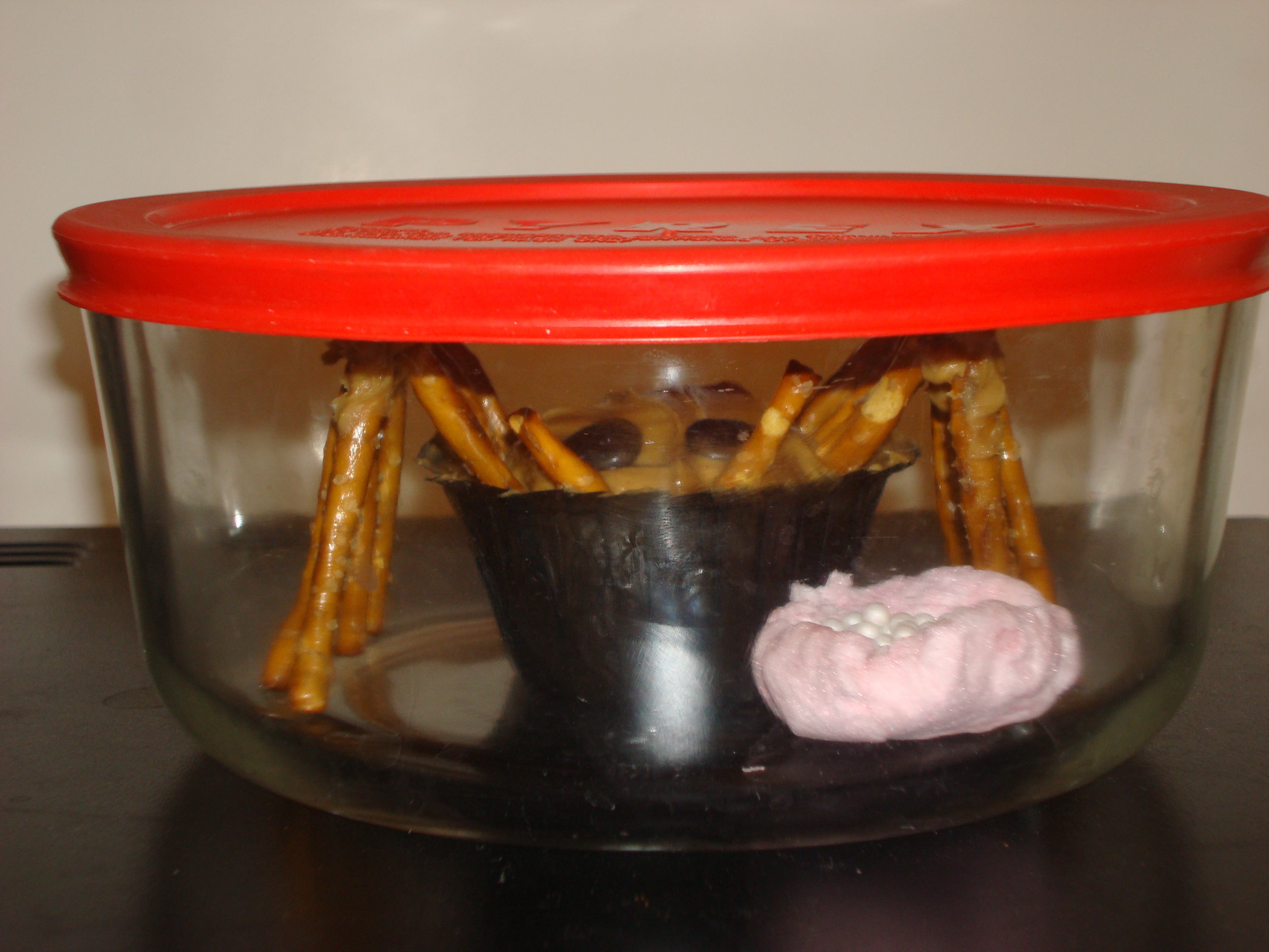 Intimidating Spider Cupcakes