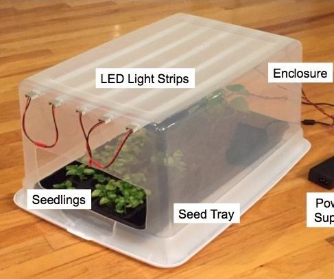 Green Thumb Grow Lights