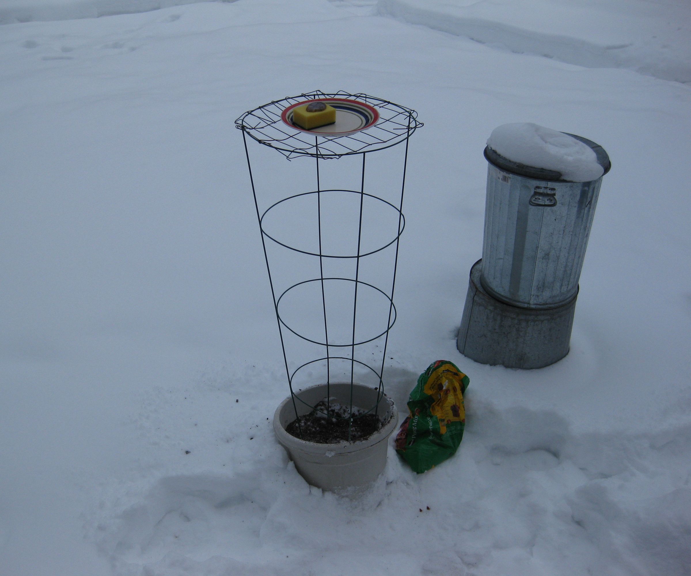 Butterfly Feeding Station
