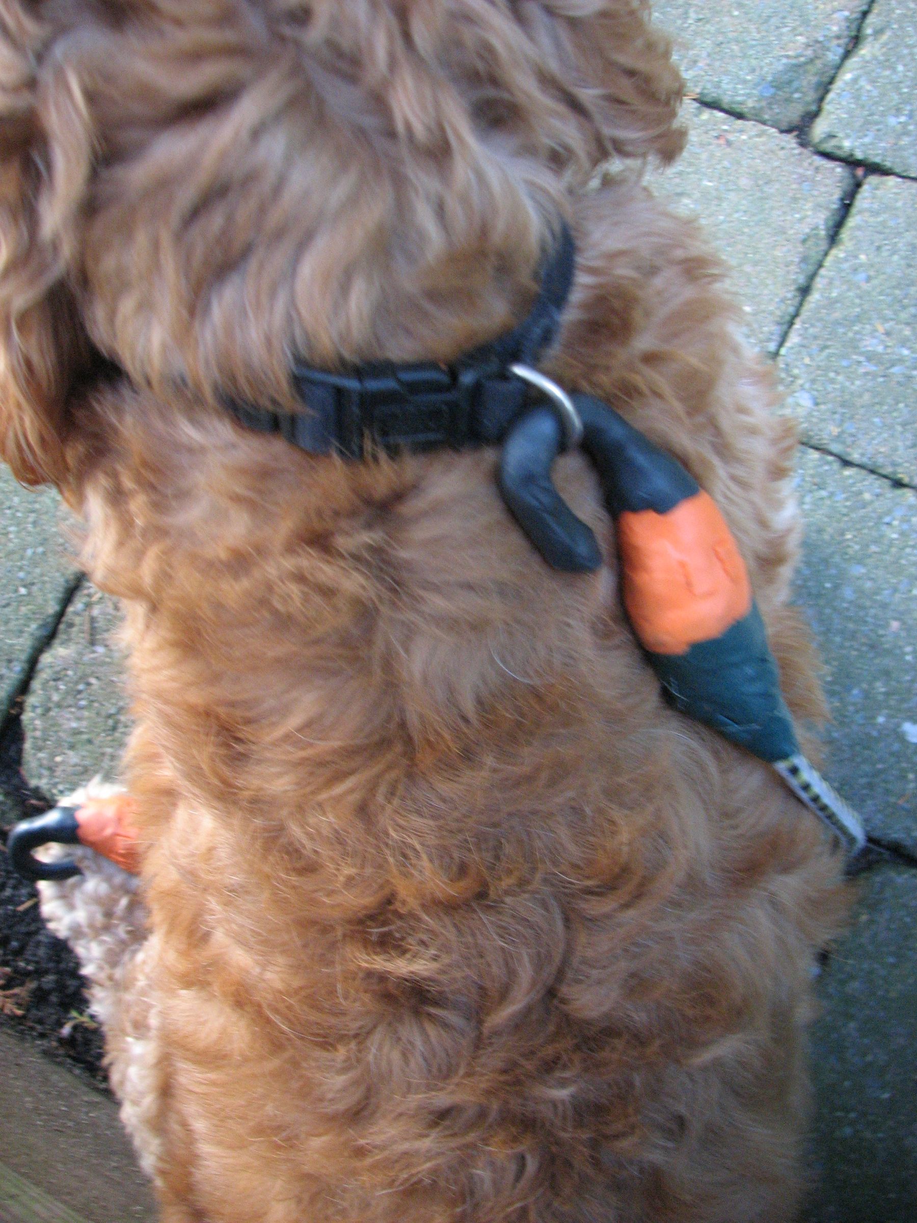 Bungee Cord Dog Harness 7 Steps Instructables