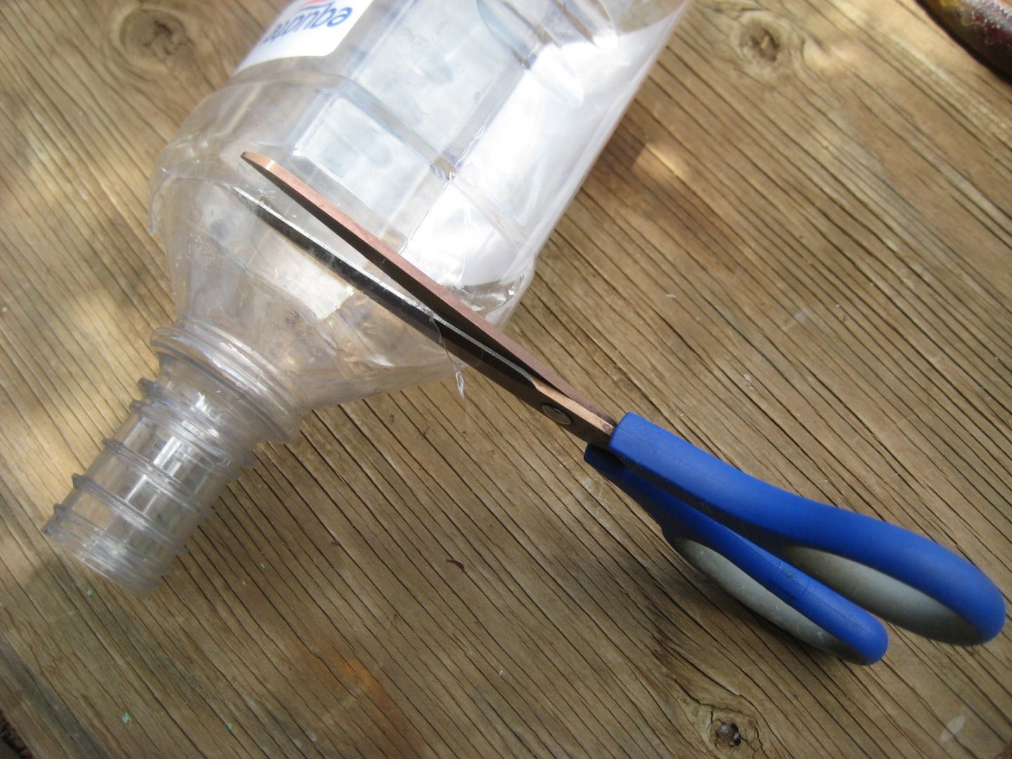 Eliminating Tree Rats : 13 Steps (with Pictures) - Instructables
