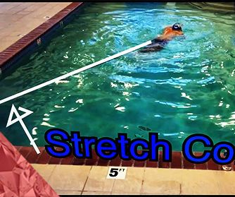 How to Swim While Traveling