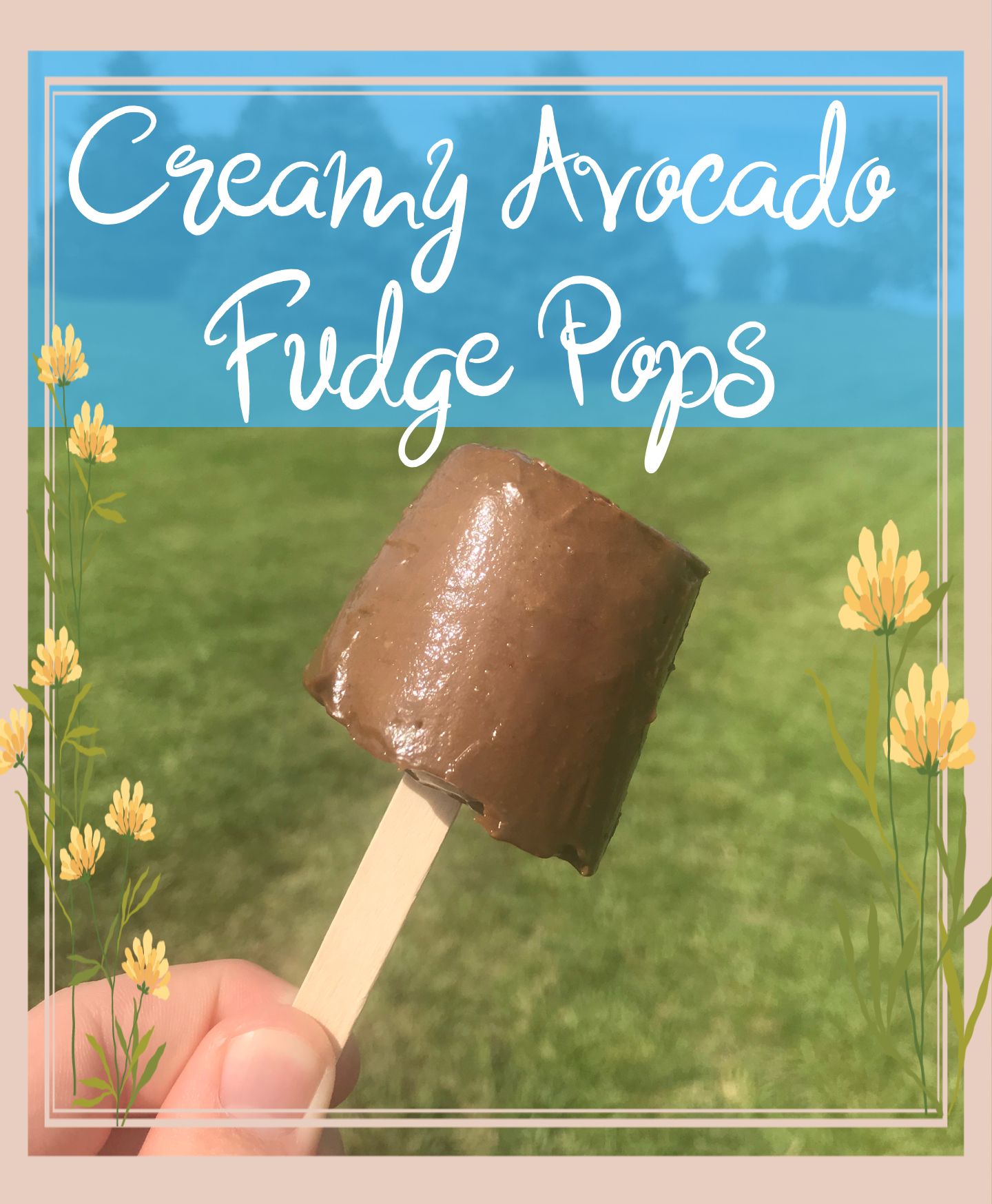 Creamy Avocado Fudge Pops 6 Steps (with Pictures) Instructables