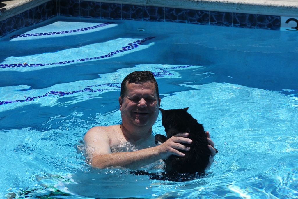 How to Teach a Cat to Swim. : 8 Steps (with Pictures) - Instructables