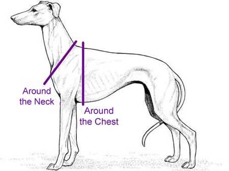 crochet step in dog harness pattern