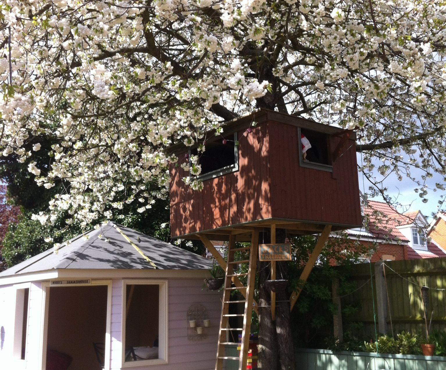 Jacks treehouse