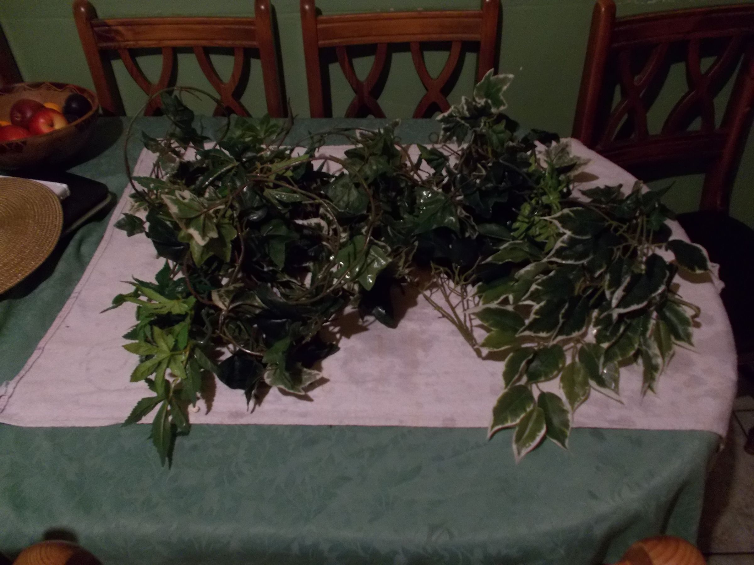 How to Setup a Snake Viv 13 Steps Instructables