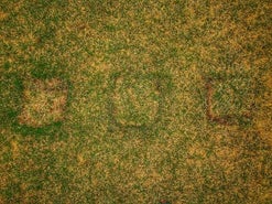 Çim ve Kazı Deliklerini Çıkarın