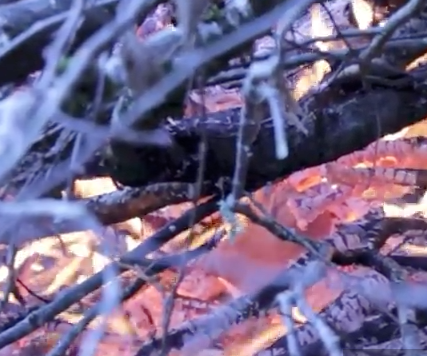 FIRE TEST - GLASS & CERAMICS