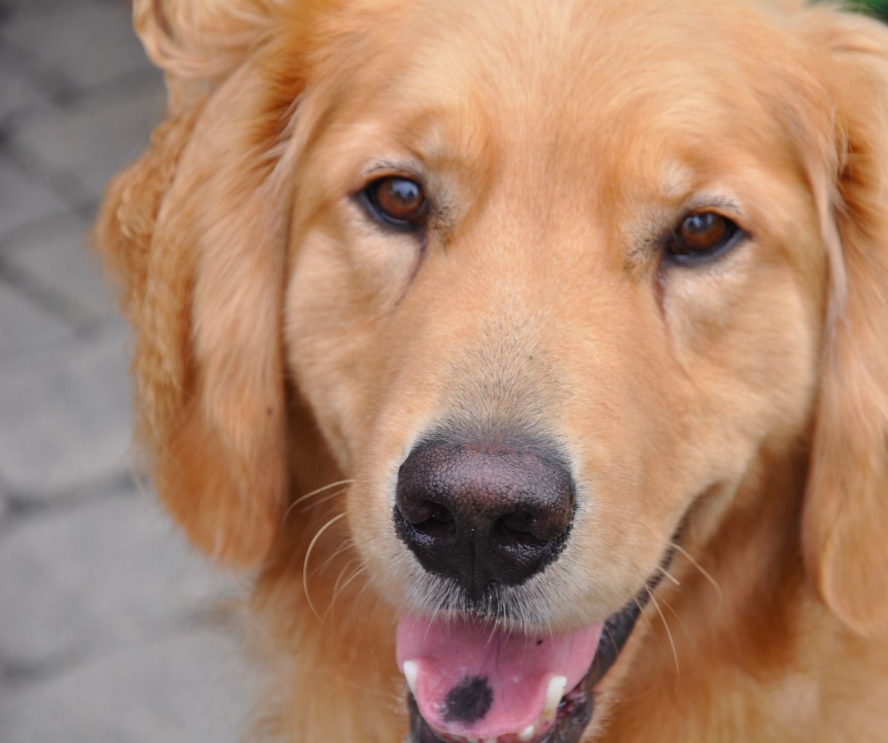 Approaching a Strange Object