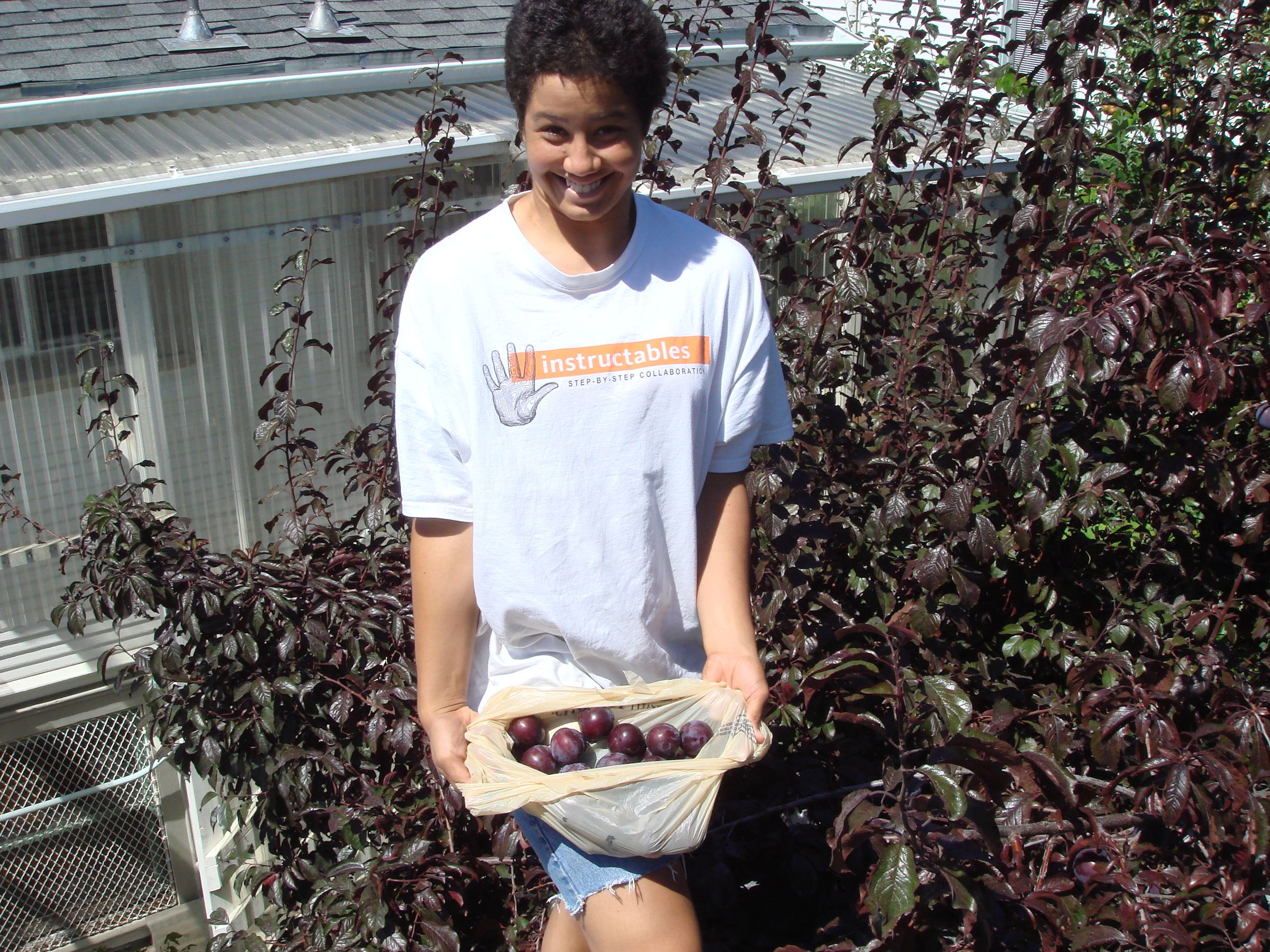 Plum Good Syrup