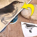 Transfer PHOTOS to STONE!