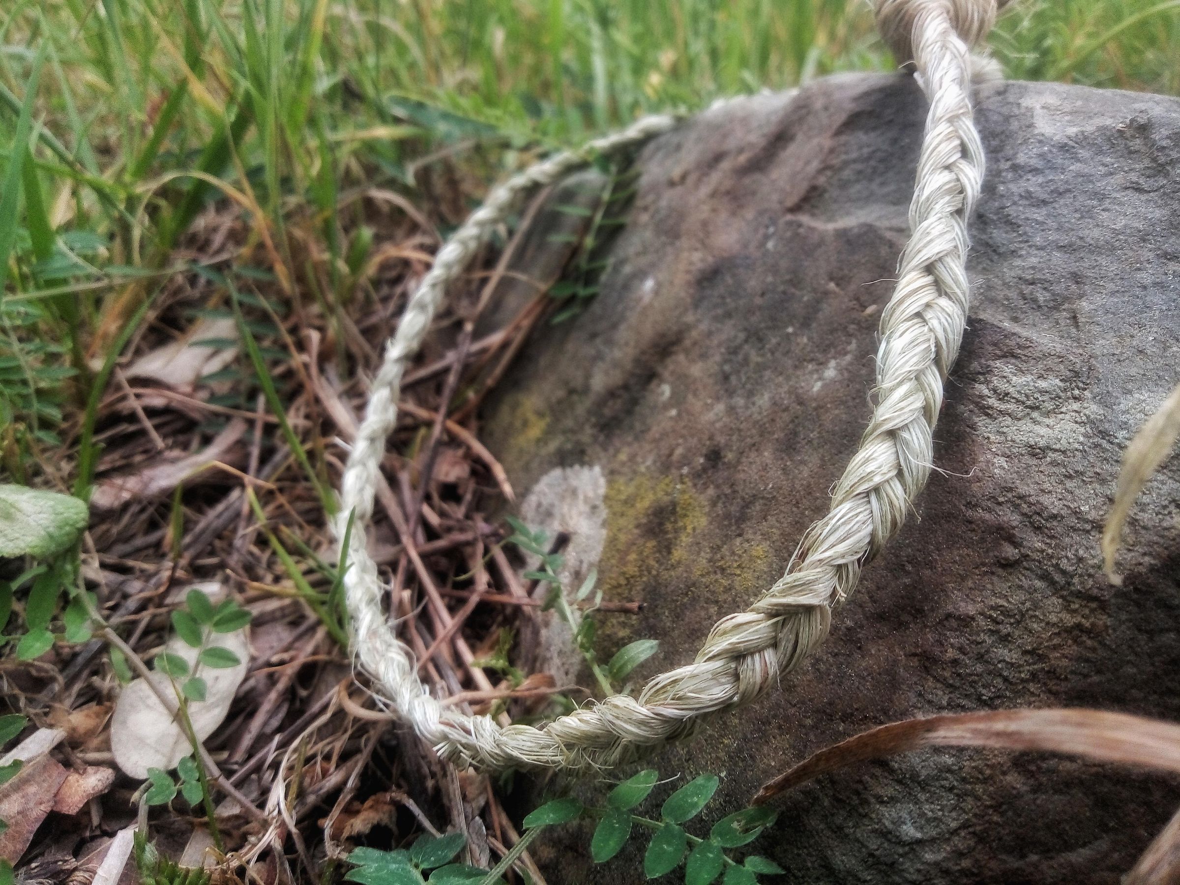 How to Make Rope / String With Natural Plant Fibers : 6 Steps (with ...