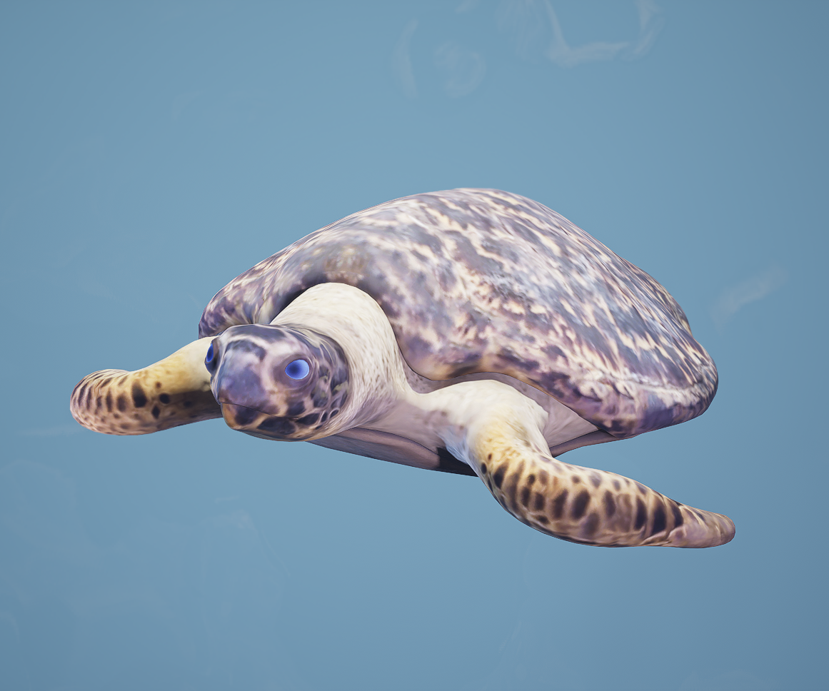Enlivened Hawksbill Sea Turtle | Animated Photogrammetry Scan
