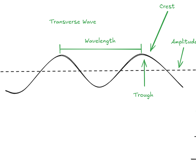 Transverse Wave Experiment
