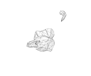 download {{ file.name }}