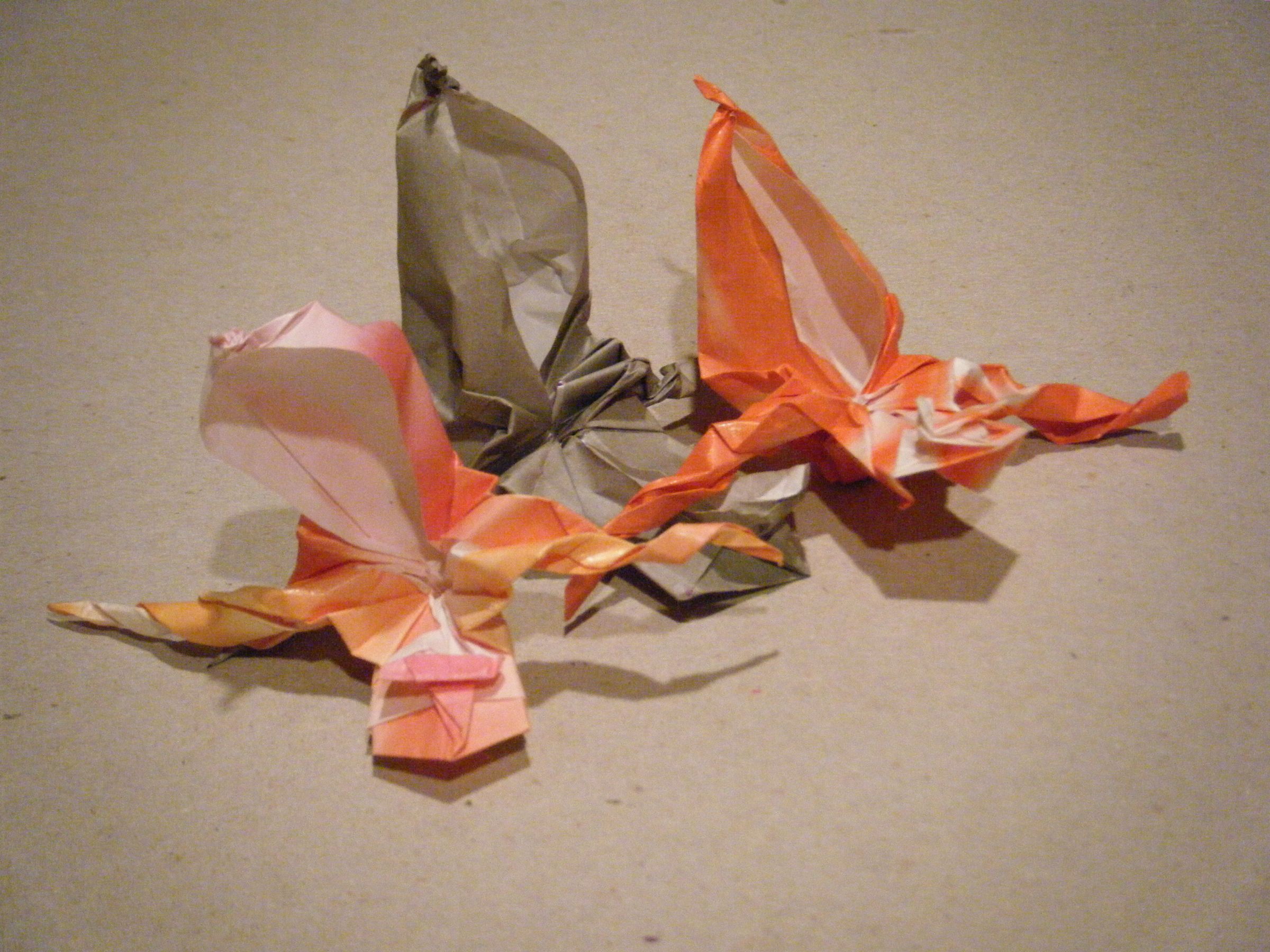 Origami Golden Slipper Orchid