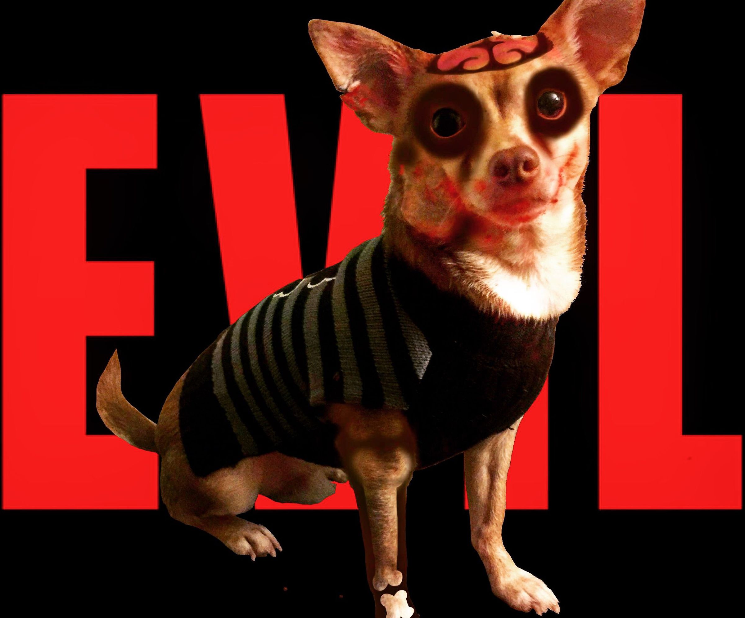 Good Dog Gone Zombie
