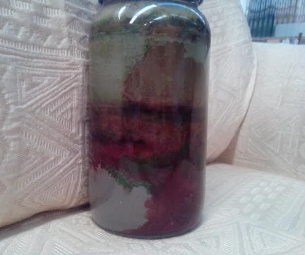 Bacterial Terrarium (AKA Winogradsky Column)