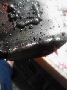 Welding the Stand
