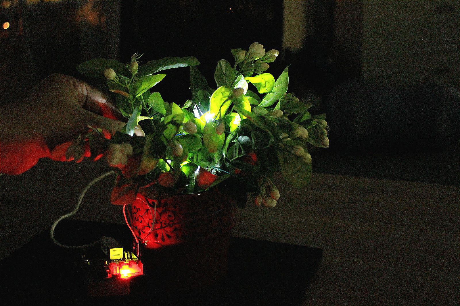 Avatar PlaNT (Touch Sensitive)