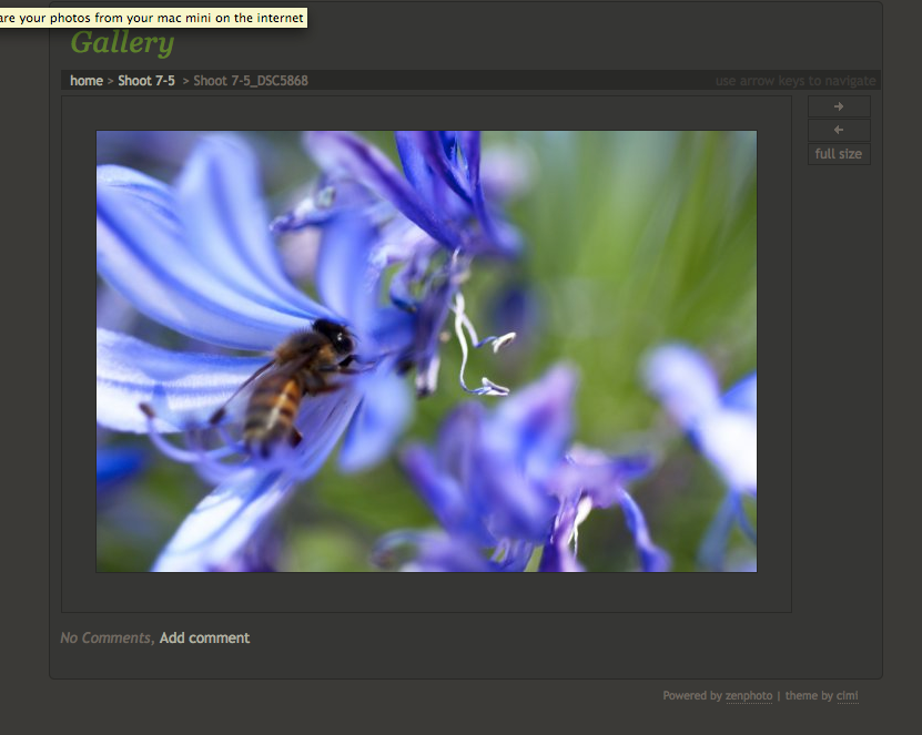 How to share your photos from your mac mini on the internet