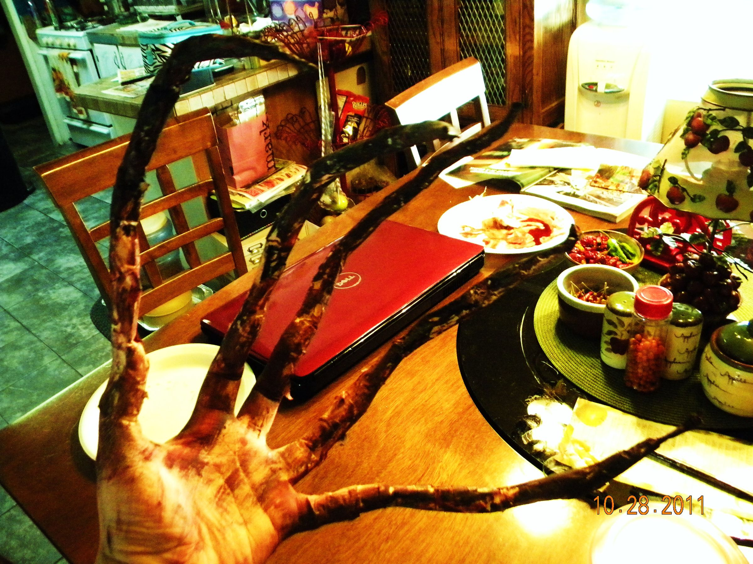 Left 4 Dead Witch Hands/Fingers