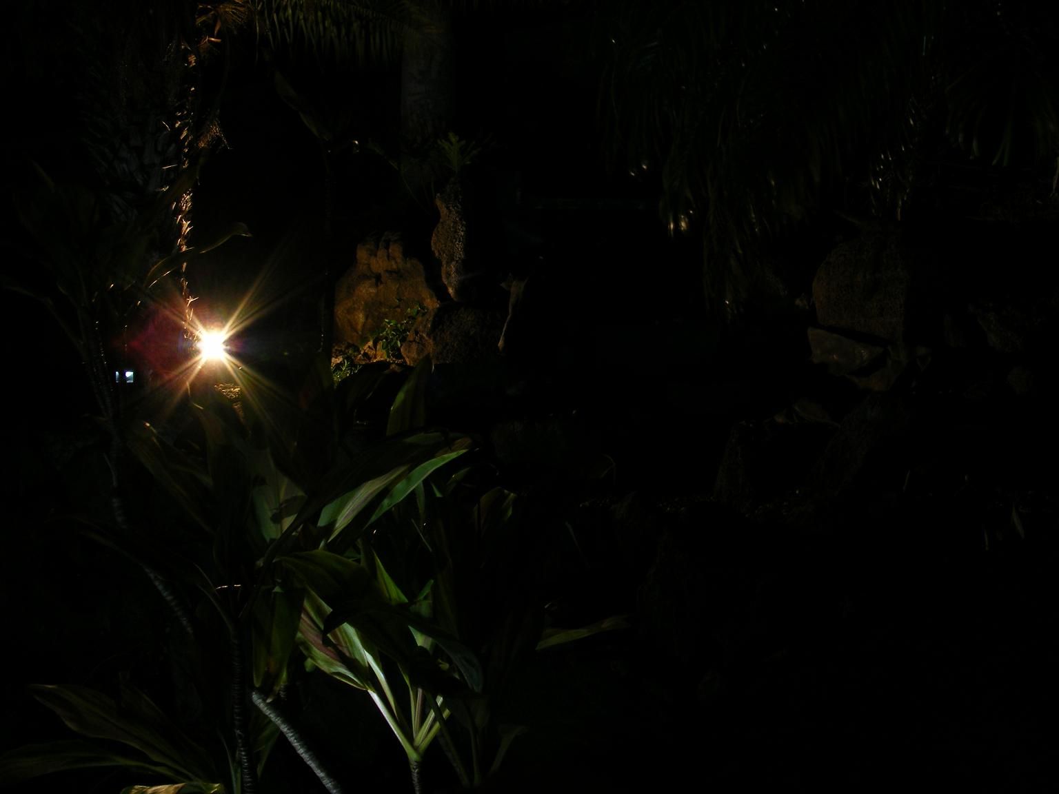 First instructable:)  Off grid beauty-Security-Emergency lighting-With junk & creativity