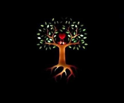 Make Your Own LED Illuminated Laser Cut Box