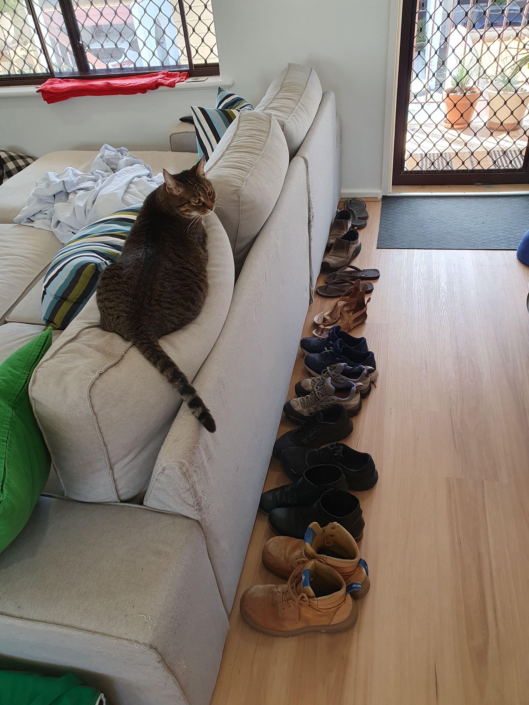 Wooden Entryway Shoe Rack : 30 Steps (with Pictures) - Instructables