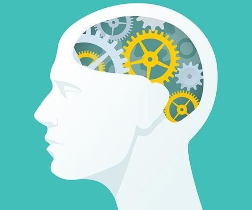 Water Purification (Science Fair) 