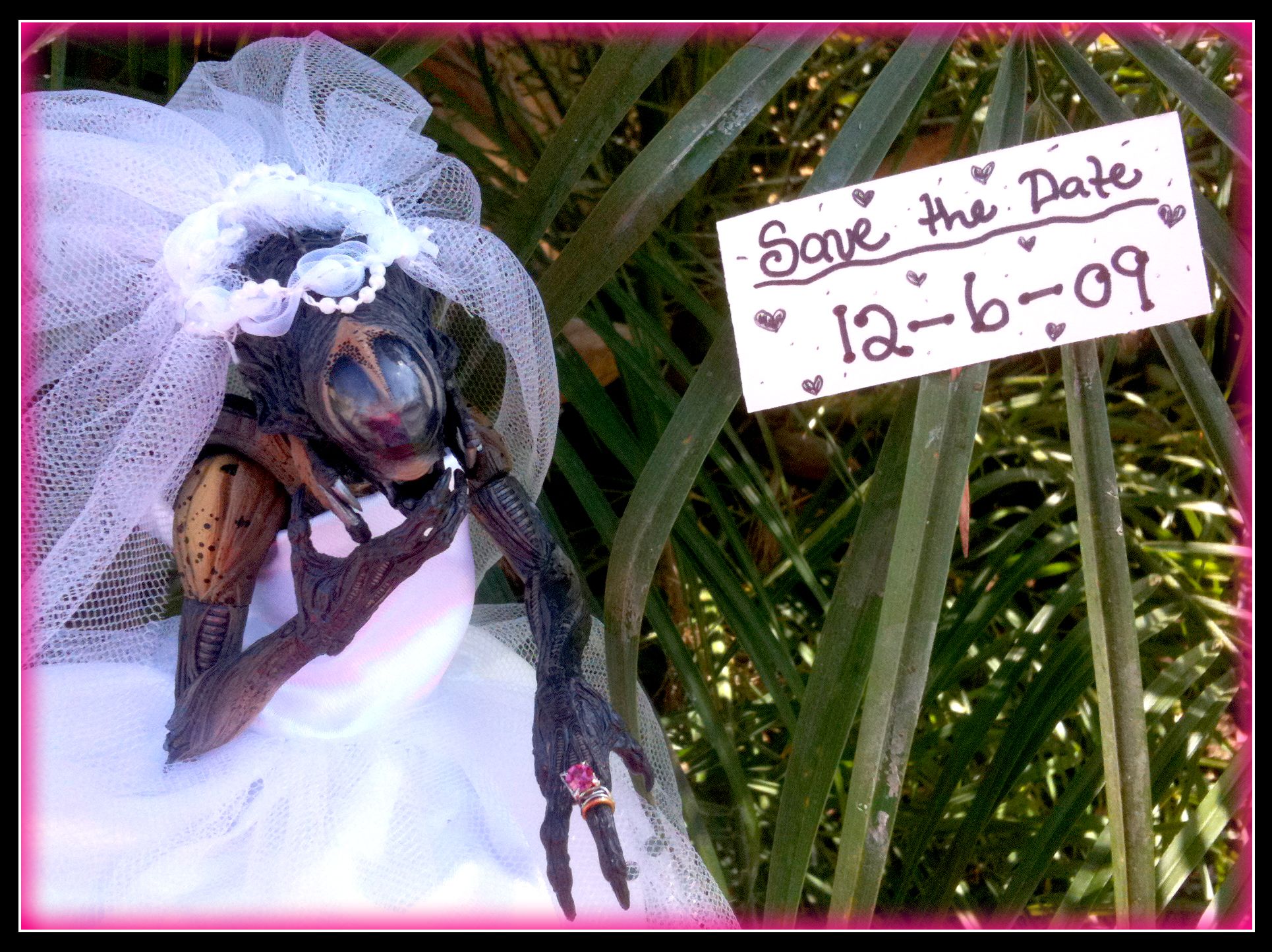 Photographic SaveTheDates